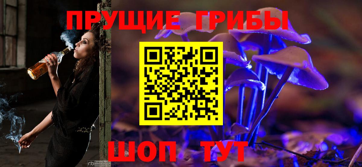 Ростов-на-Дону  Галлюциногенные грибы прущие грибы  Вход с VPN 