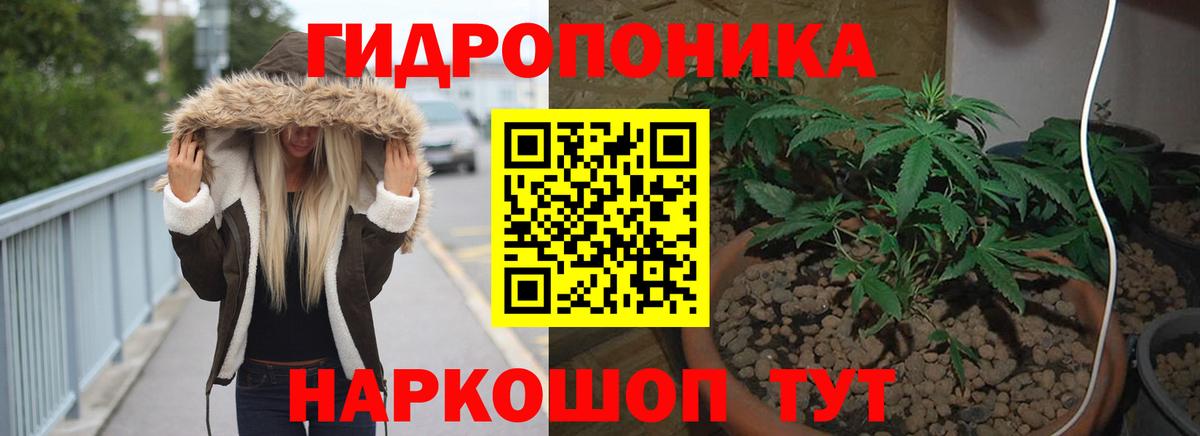 Канабис тримм  Вход с VPN  Канабис AK-47  Ростов-на-Дону 